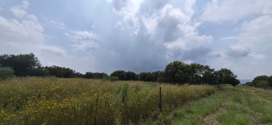 0 Bedroom Property for Sale in Koster North West